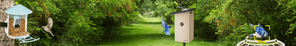 Vogelhuis met camera