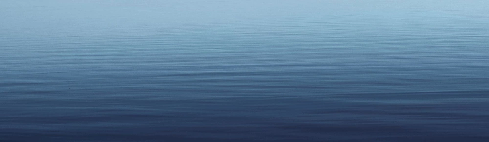 iPad Mini 4 adapters en laders