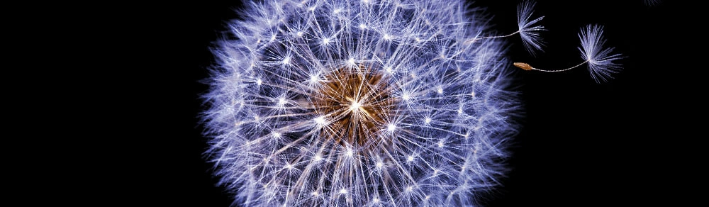 Galaxy S9 adapters en laders 