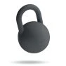 Bala 4.5kg (10lb) Kettle Bal Charcoal sticky