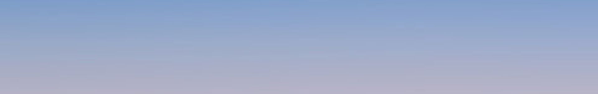 iPad Mini 1 / 2 / 3 adapters en laders
