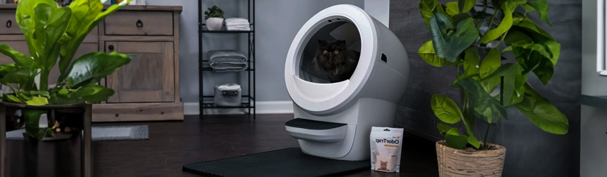 Black Friday Litter Robot