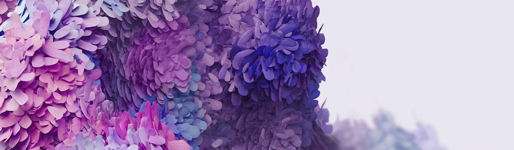 GALAXY S20 OUTILS ET ACCESSOIRES