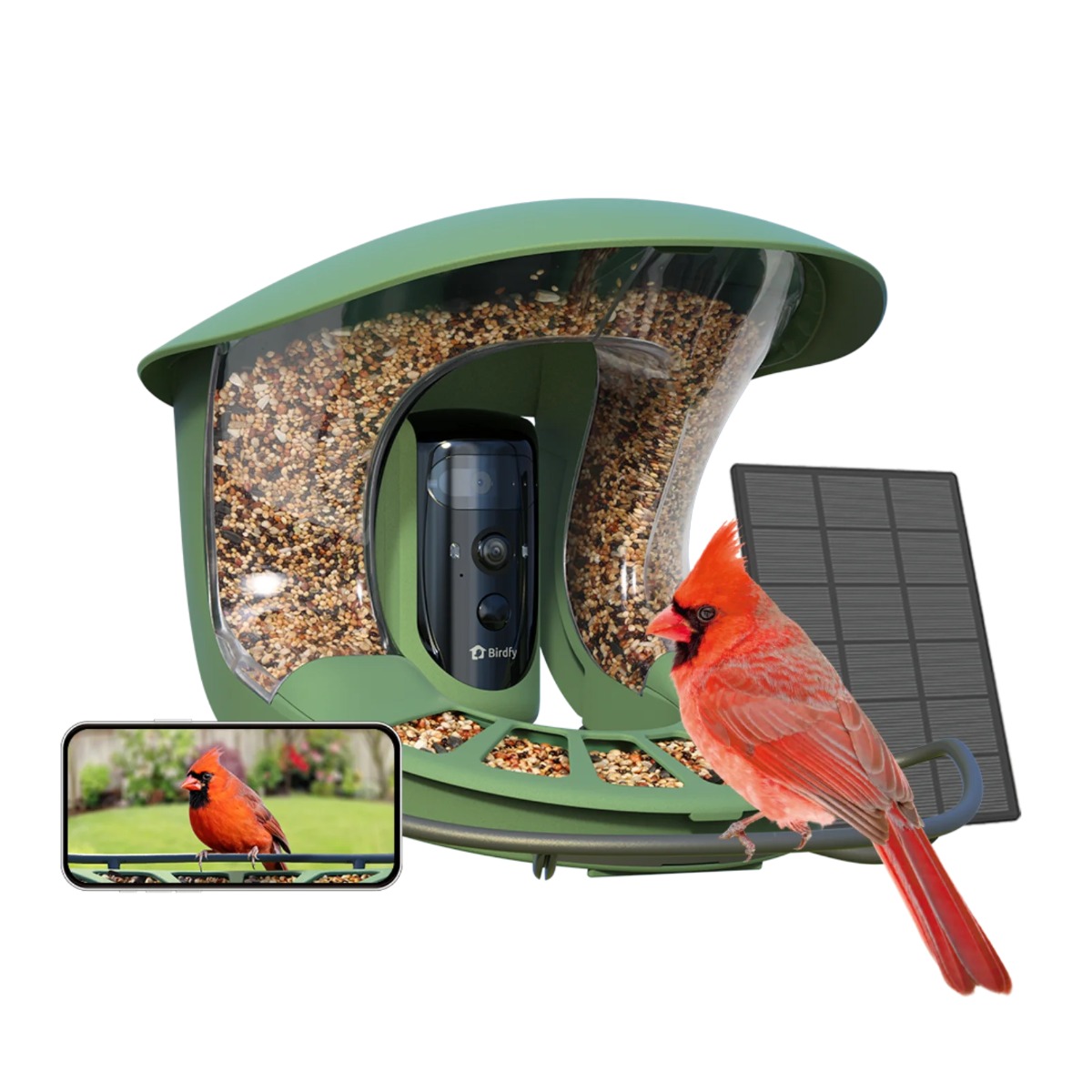 Birdfy Pro 2 Lite Mangeoire Connectée avec Panneau Solaire, Caméra et Reconnaissance d'Oiseau par IA