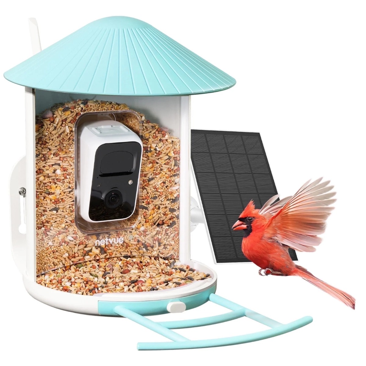 Birdfy Pro Mangeoire Connectée avec Panneau Solaire, Caméra et Reconnaissance d'Oiseau par IA