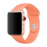 Apple Sport Band Apple Watch 42mm / 44mm / 45mm / 49mm Peach sticky