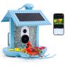 HiBirds slim vogelhuisje met Camera - Met Zonnepanelen blauw - Camera in nestkast sticky