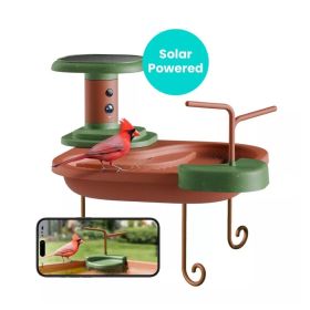 Birdfy Birdbath Jolly V Lite - slim vogelbad met camera en AI-herkenning