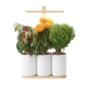 Prêt à Pousser Lilo Premium (incl. 3 pods)