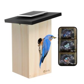 Birdfy Ebony Lite Slim Vogelhuisje Op Zonne-energie met Camera en AI-Vogelherkenning