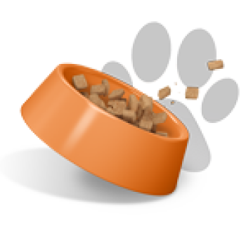 Categorie Huisdieren image