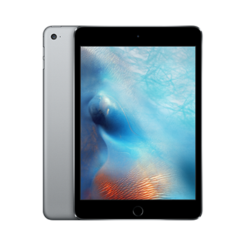 Categorie iPad Mini 4 accessoires image