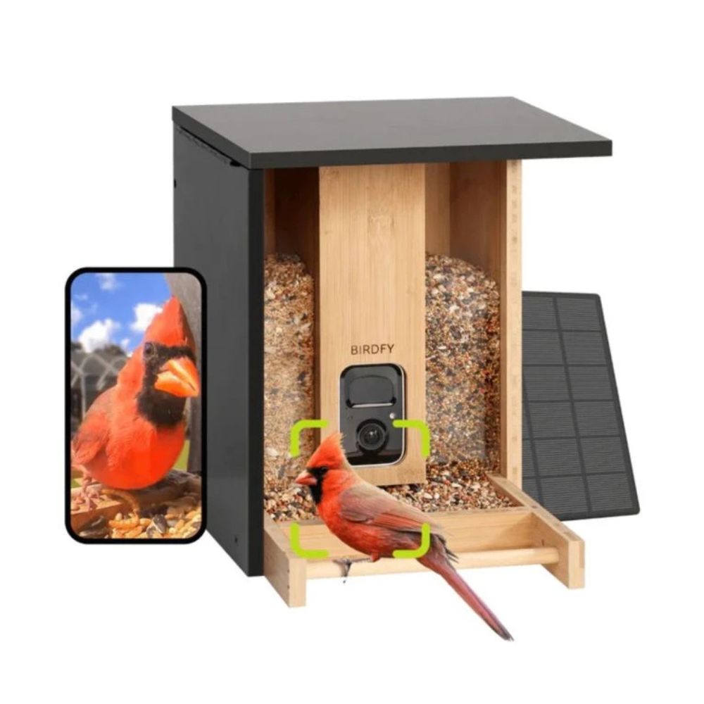 Birdfy Bamboe vogelhuisje met camera
