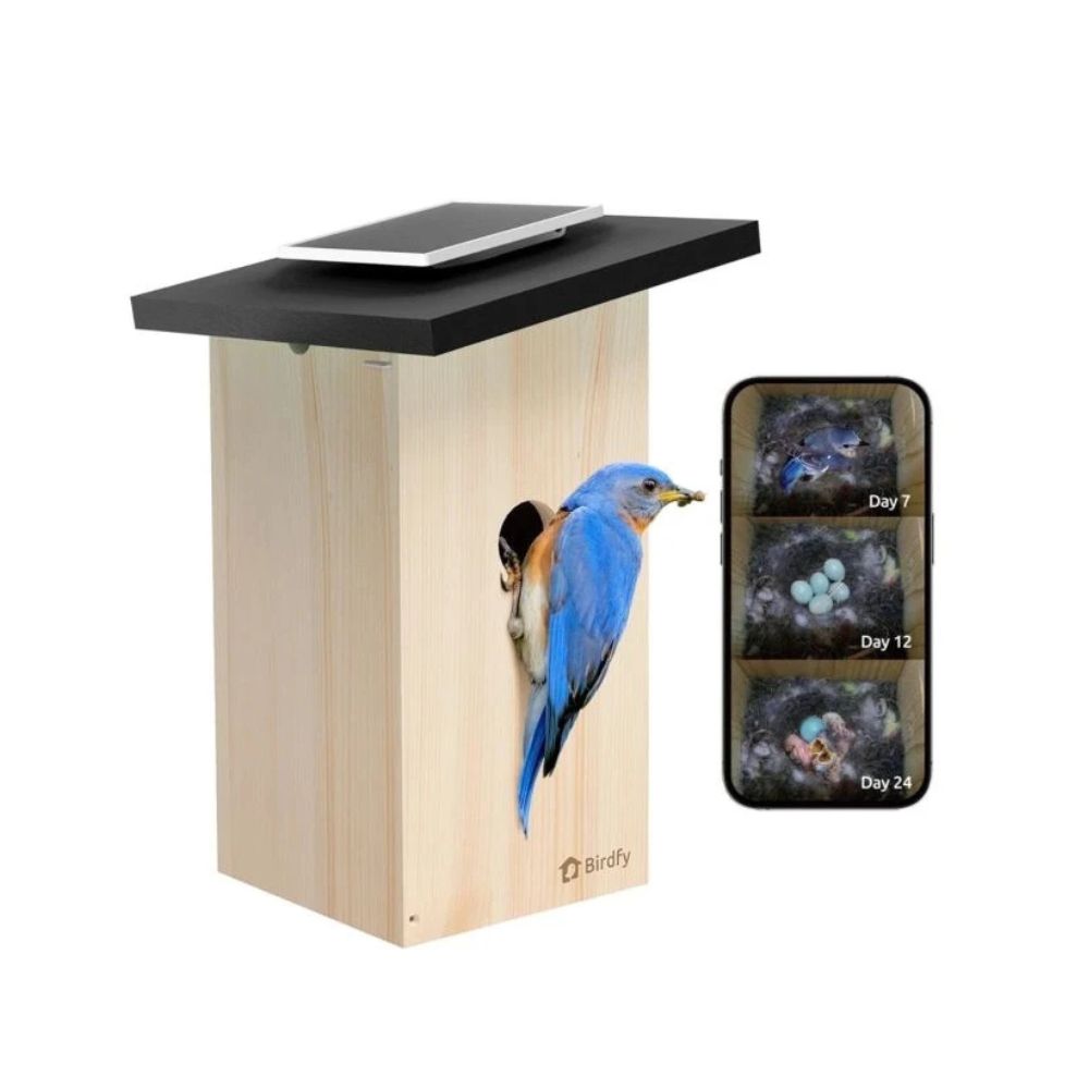 Birdfy Ebony Lite op zonne-energie