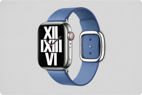 Modern Buckle