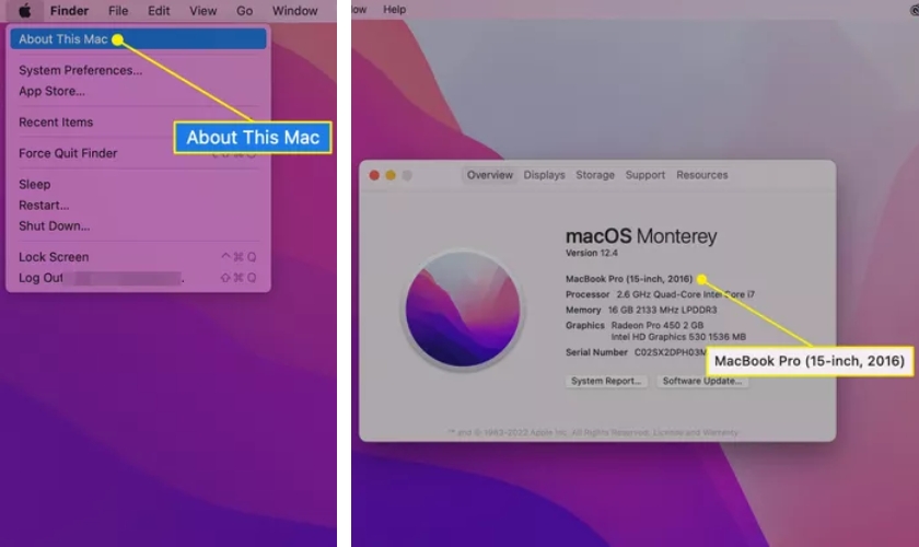 Which MacBook model do i have?